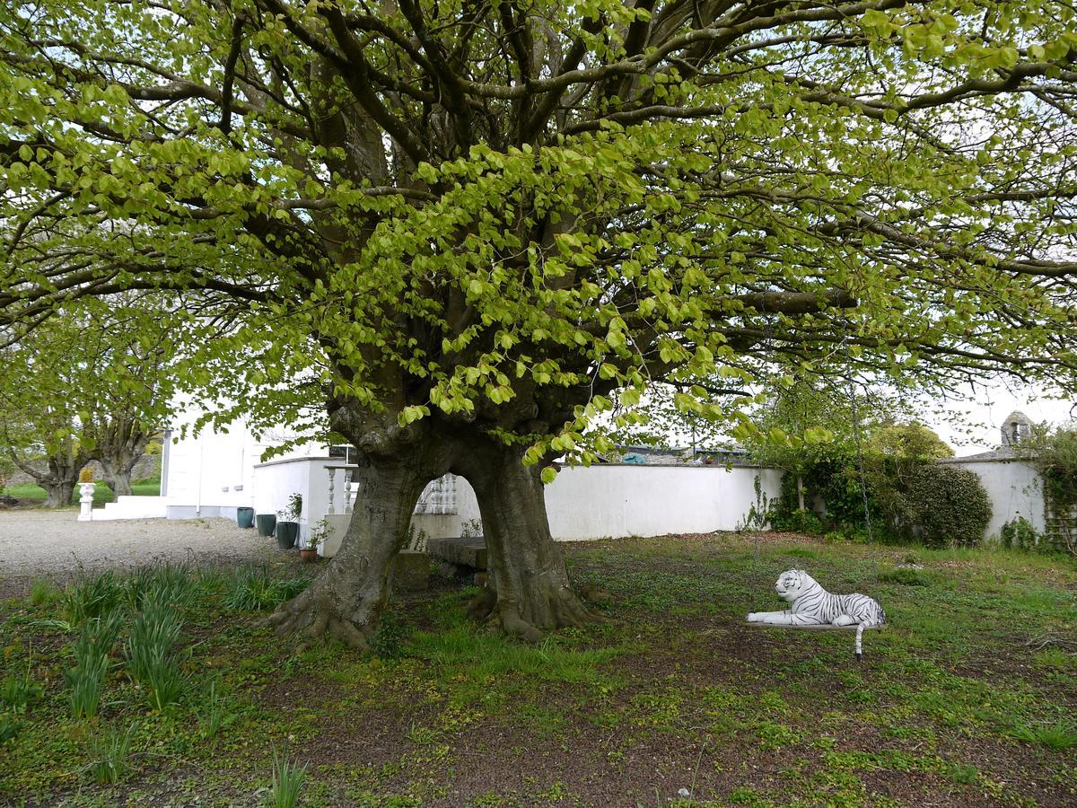 The Carriage Houses At Beechpark House Bunratty Exterior photo